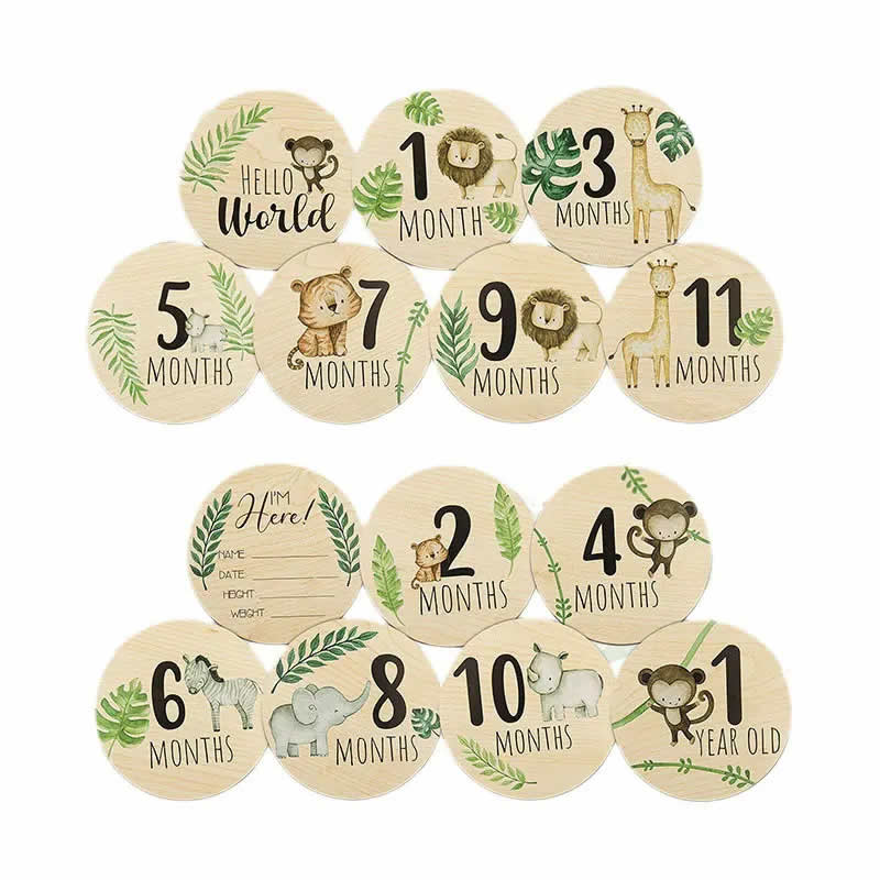 Custom Baby Monthly Milestone Wooden Cards